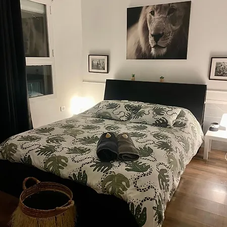 Chic&surf Dunes View Lumineux Et Vue Superbe ! Corralejo