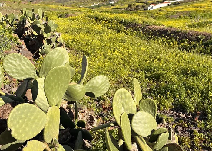 Chic&surf Dunes View Lumineux Et Vue Superbe ! *