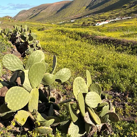 Chic&surf Dunes View Lumineux Et Vue Superbe ! *